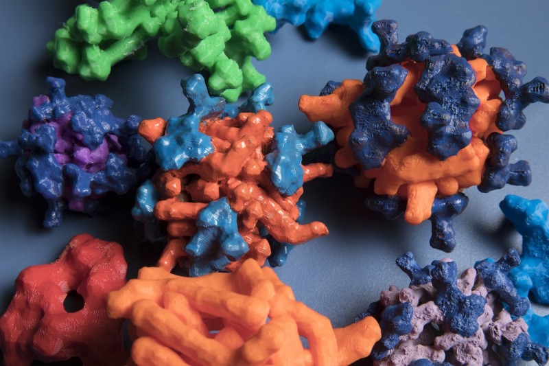 3D-printed models of a cancer-fighting nanoparticle. Faculty in the cancer engineering program are exploring the use of nanotechnology and biomaterials for imaging, drug delivery, sensors, and other applications. 