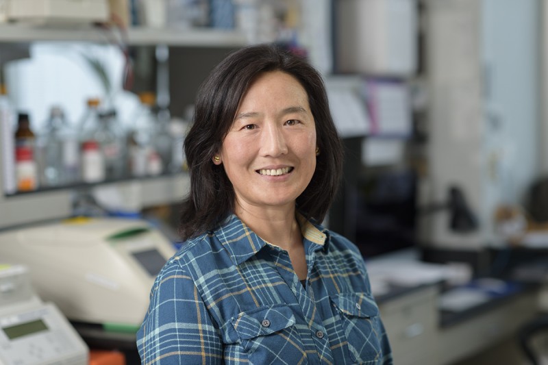 Patricia Sung, PhD