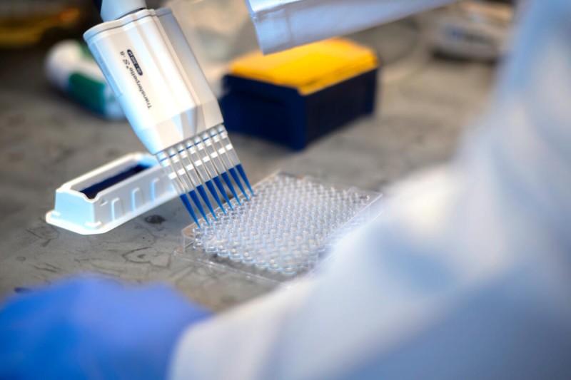 A hand holds a multichannel pipette above a well plate