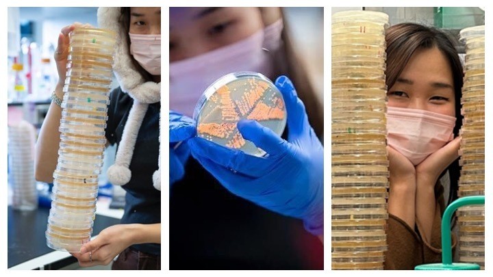 Danying having fun in the lab (2023)