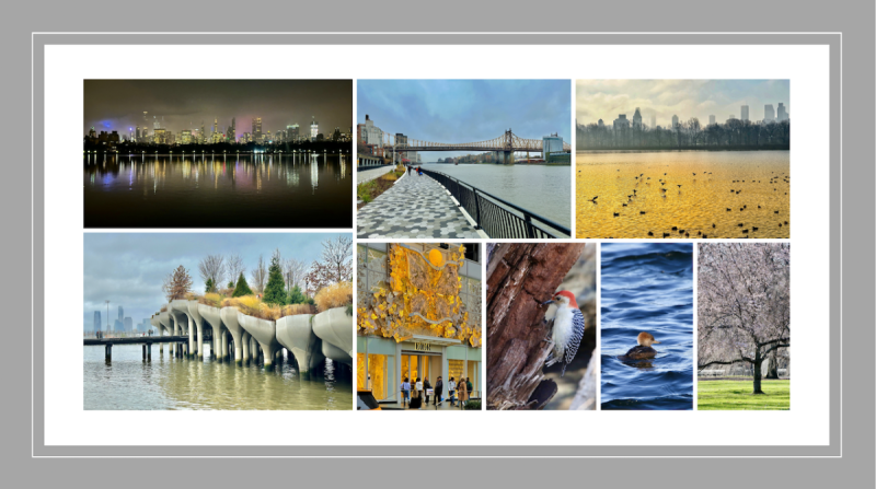 Happy New Year from NYC! (2024)