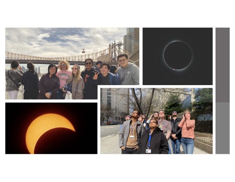 Serious vs Playful Onlookers - A memorable moment (2024)