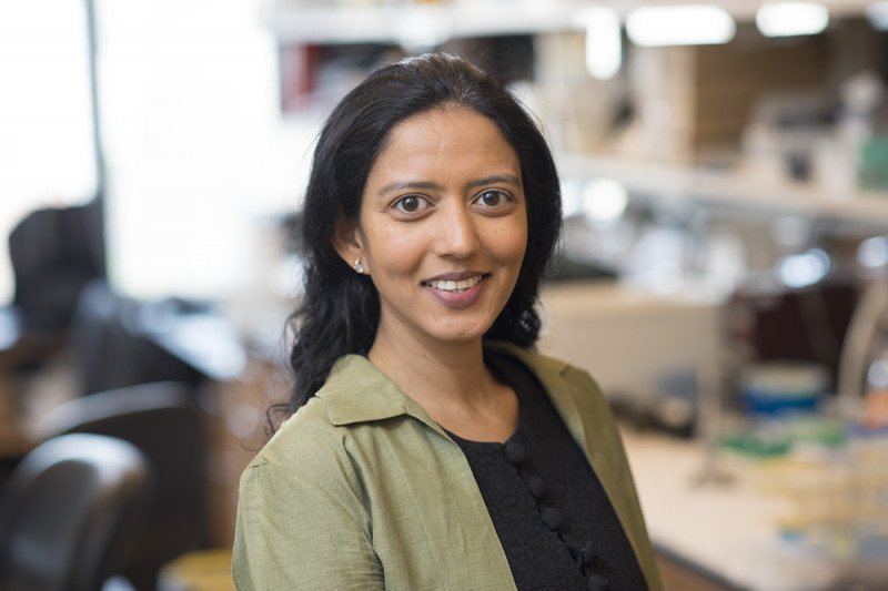 Karuna Ganesh, MD, PhD