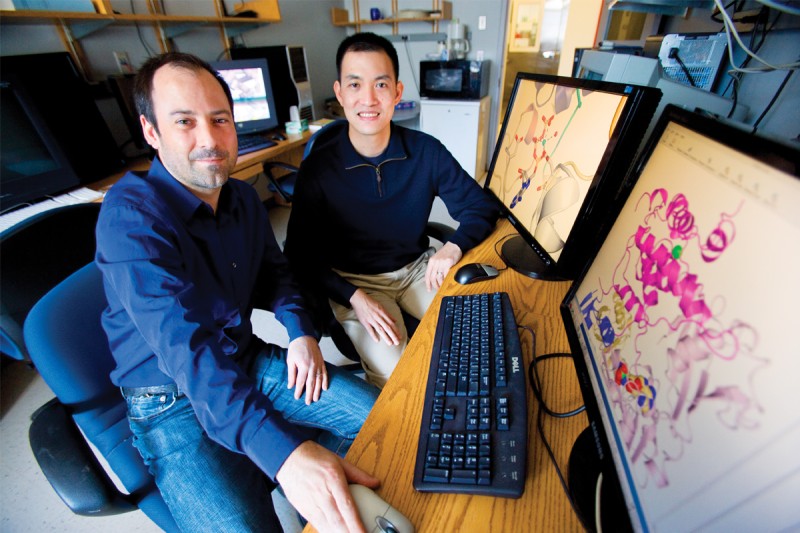 Christopher Lima (left) and Derek Tan revealed the mechanism of a key cellular process.