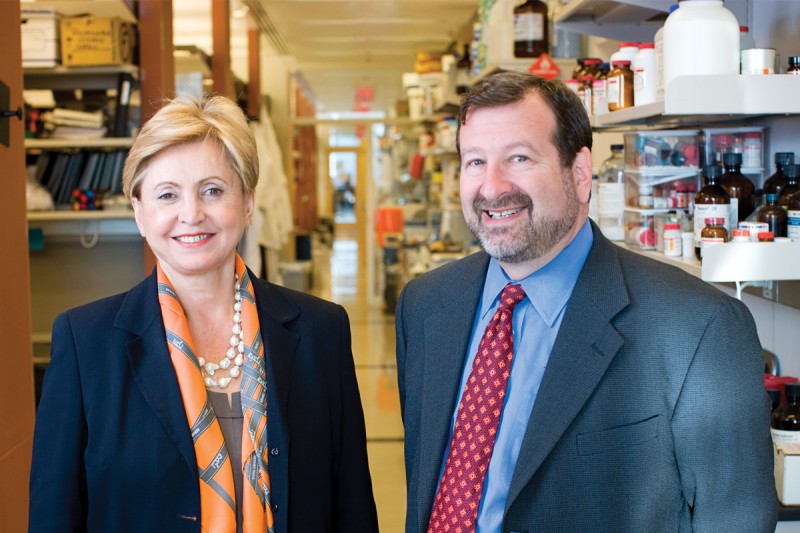 Hedvig Hricak (left) and David Scheinberg are members of the new Nanotechnology Center's executive committee, which Dr. Scheinberg chairs.