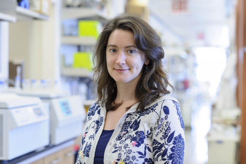 Aimee Beaulieu, Research Fellow