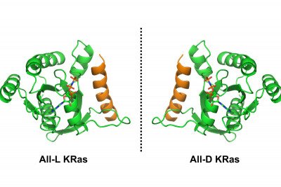 Mirror-Image Chemistry Enables New Approach for Targeting an “Undruggable” Cancer-Causing Protein