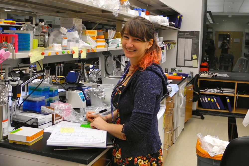 The Scott Lowe Lab: Danielle Grace | Gerstner Sloan Kettering Graduate ...