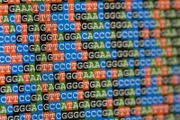 Image of As, Ts, Cs, and Gs representing genetic code