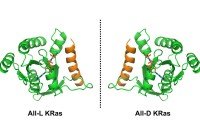 Left-handed and right-handed KRas molecules
