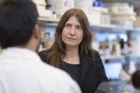 Chemical biologist Gabriela Chiosis in a laboratory