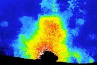 Wounding a zebrafish tail fin triggers a wave of calcium that signals damage and recruits neutrophils