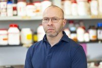 COPII protein machinery model