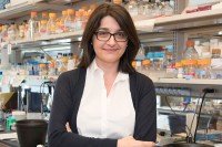 Sloan Kettering Institute molecular biologist Christine Mayr