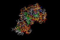 Ribbon diagram of an anthrax protein.