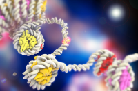 DNA winding around histones