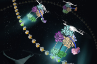 An illustration of proteins serving as bar-code-reading drones