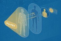 Illustration of how PU-PET localizes to tumors