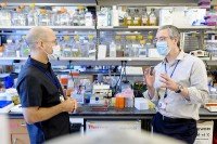 Memorial Sloan Kettering structural biologist Christopher Lima and physician-scientist Michael Glickman