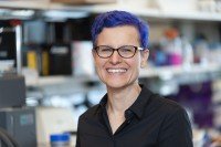 SKI immunologist Gretchen Diehl