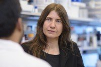 Scientist Gabriela Chiosis in her lab