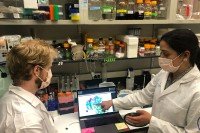Two scientists wearing masks and looking at a computer screen