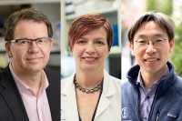 MSK physician-scientists Michele Sadelain, Isabelle Riviere, and Jae Park