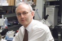 Stephen D. Nimer, MD