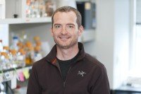 The Iestyn Whitehouse Lab