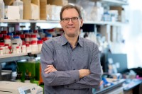 The Jan Grimm Lab