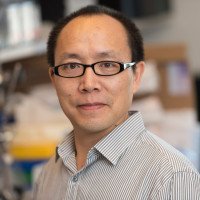 Zilai  Wang, PhD