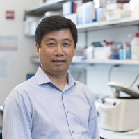 Li (Kenneth)  Zhang, MD