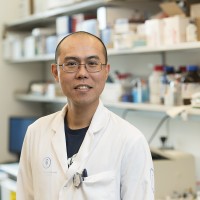 Feng Chen, PhD