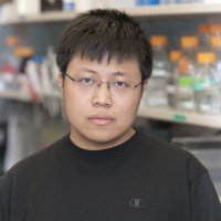 Qingfei Zheng, Research Fellow