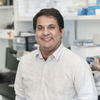 Pavak Shah, PhD