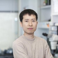 Yichi Xu, PhD