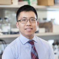 Jason Chan, MD, PhD