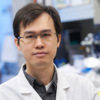 Kai Xu, PhD