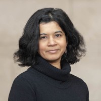 Harini Veeraraghavan