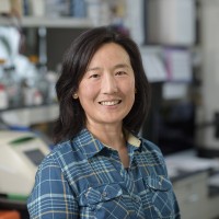 Patricia Sung, PhD