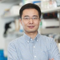 Xiaochuan Cai, PhD