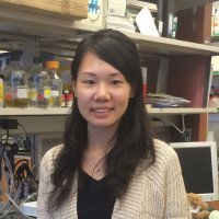 Jessica Pan, PhD