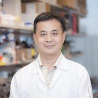Xianzhong Wu, MD, Laboratory Manager