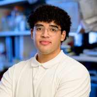Mohamed Hussien