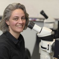Sonja Nowotschin, PhD