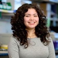 Lizbeth Mendoza-Navarrete