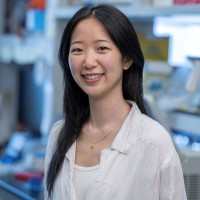 Elaine Wu