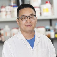 Wenfu MA, PhD