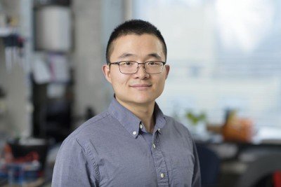 Weiran Feng, Research Fellow