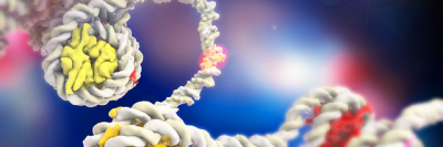 DNA winding around histones
